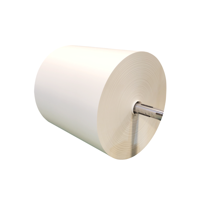 pe coated paper cup roll